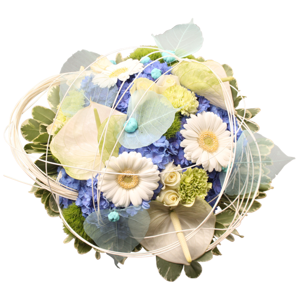 It's a boy!