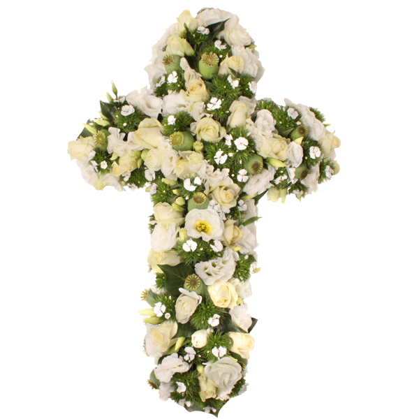 Kruis